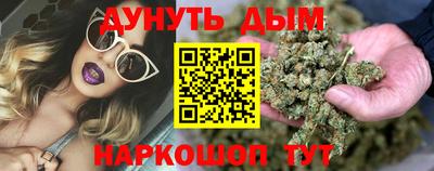 гидропоника Бердск